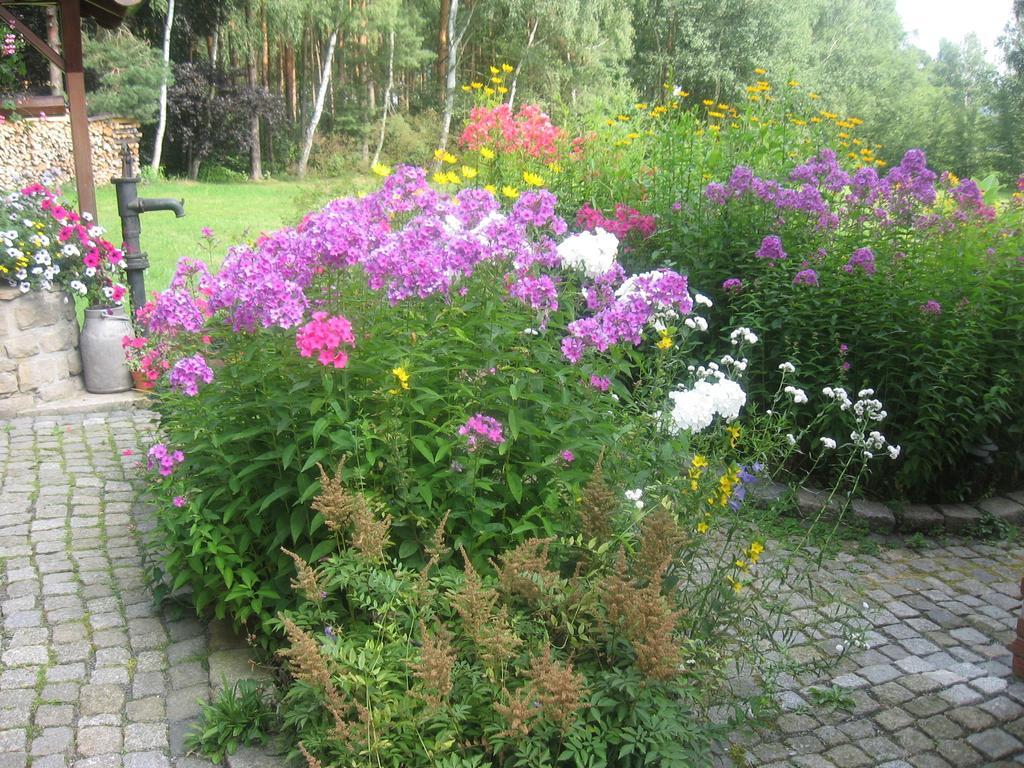 Kleinhennersdorf Ferienwohnung Guerth מראה חיצוני תמונה