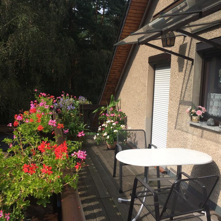 Kleinhennersdorf Ferienwohnung Guerth מראה חיצוני תמונה